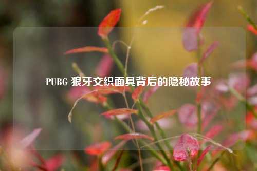 PUBG 狼牙交织面具背后的隐秘故事