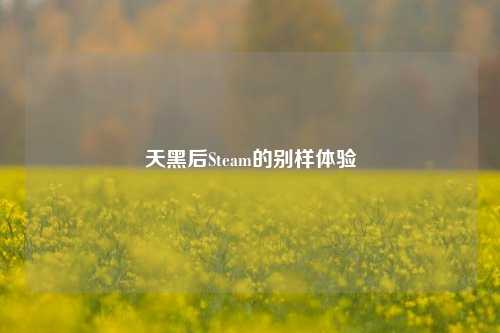 天黑后Steam的别样体验