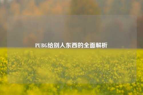PUBG给别人东西的全面解析