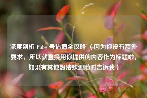 深度剖析 Pubg 号估值全攻略 （因为你没有额外要求，所以就直接用你提供的内容作为标题啦，如果有其他想法欢迎随时告诉我）