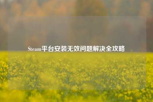 Steam平台安装无效问题解决全攻略