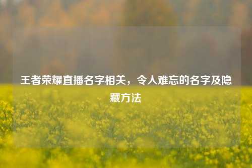 王者荣耀直播名字相关,令人难忘的名字及隐藏 ***