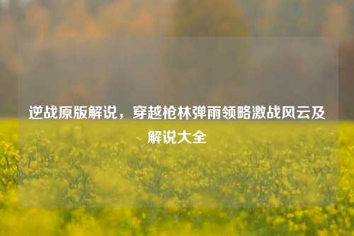 逆战原版解说,穿越枪林弹雨领略激战风云及解说大全