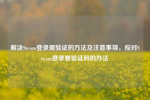解决Steam登录需验证的 *** 及注意事项，应对Steam登录要验证码的办法