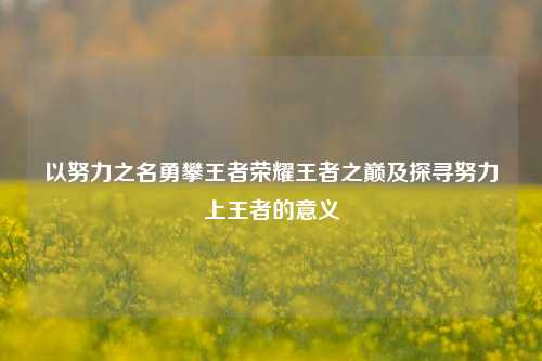 以努力之名勇攀王者荣耀王者之巅及探寻努力上王者的意义