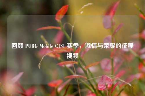 回顾 PUBG Mobile C1S1 赛季,***与荣耀的征程视频