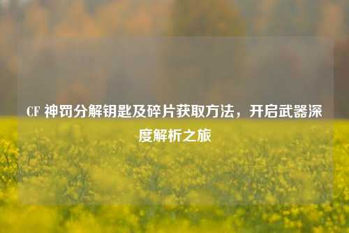 CF 神罚分解钥匙及碎片获取 *** ，开启武器深度解析之旅