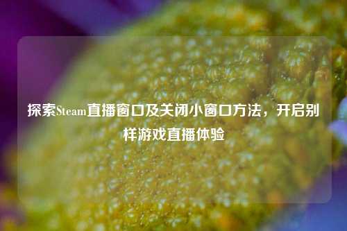 探索Steam直播窗口及关闭小窗口 *** ，开启别样游戏直播体验