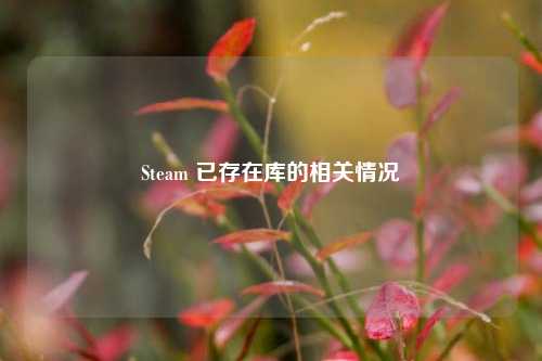Steam 已存在库的相关情况