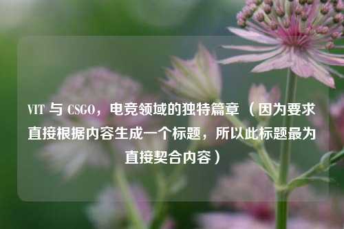 VIT 与 CSGO，电竞领域的独特篇章 （因为要求直接根据内容生成一个标题，所以此标题最为直接契合内容）