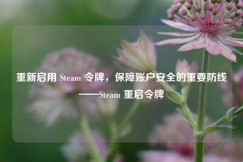 重新启用 Steam 令牌，保障账户安全的重要防线——Steam 重启令牌