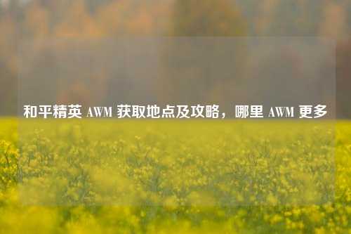 和平精英 AWM 获取地点及攻略，哪里 AWM 更多