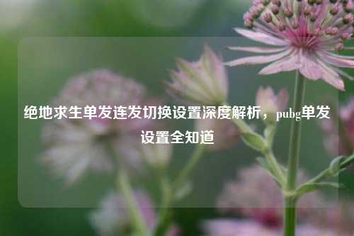 绝地求生单发连发切换设置深度解析，pubg单发设置全知道