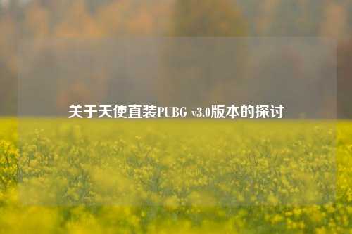 关于天使直装PUBG v3.0版本的探讨