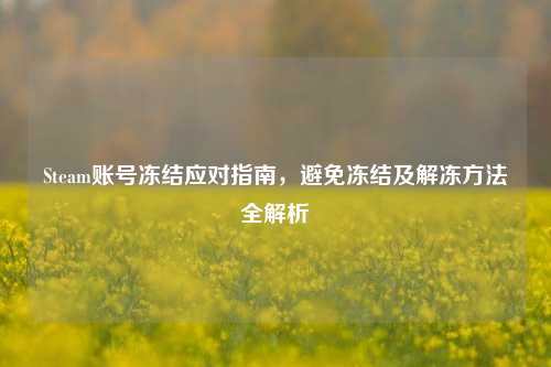 Steam账号冻结应对指南，避免冻结及解冻 *** 全解析