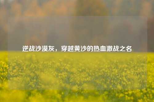 逆战沙漠灰，穿越黄沙的热血激战之名