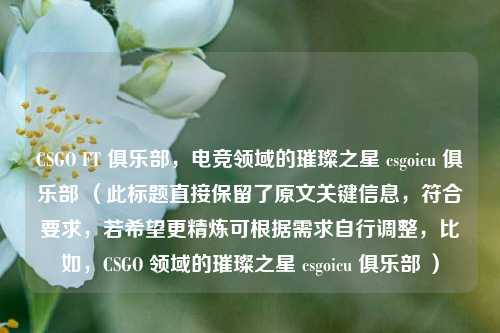 CSGO FT 俱乐部，电竞领域的璀璨之星 csgoicu 俱乐部 （此标题直接保留了原文关键信息，符合要求，若希望更精炼可根据需求自行调整，比如，CSGO 领域的璀璨之星 csgoicu 俱乐部 ）