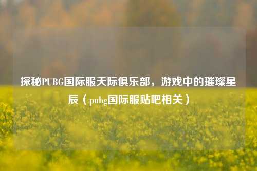 探秘PUBG国际服天际俱乐部，游戏中的璀璨星辰（pubg国际服贴吧相关）