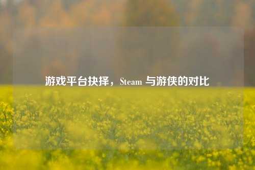 游戏平台抉择，Steam 与游侠的对比