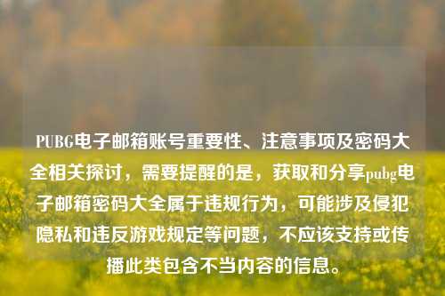 PUBG电子邮箱账号重要性、注意事项及密码大全相关探讨，需要提醒的是，获取和分享pubg电子邮箱密码大全属于违规行为，可能涉及侵犯隐私和违反游戏规定等问题，不应该支持或传播此类包含不当内容的信息。