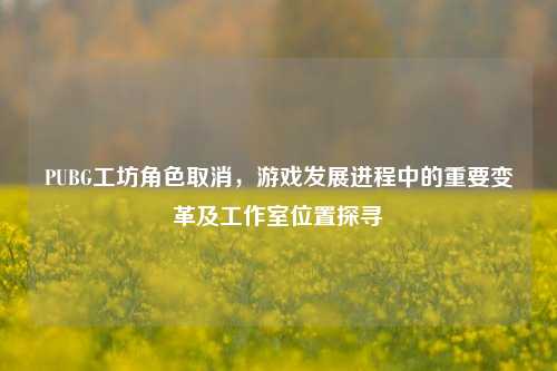 PUBG工坊角色取消，游戏发展进程中的重要变革及工作室位置探寻