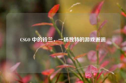 CSGO 中的铃兰，一场独特的游戏邂逅