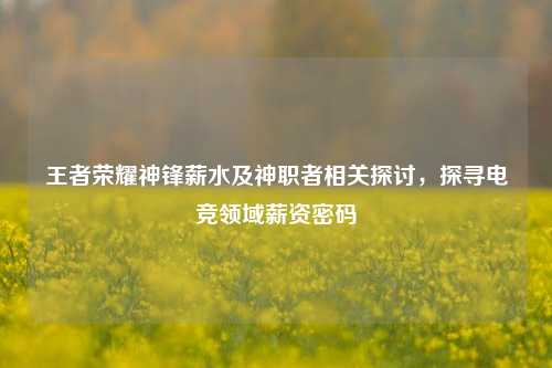 王者荣耀神锋薪水及神职者相关探讨，探寻电竞领域薪资密码