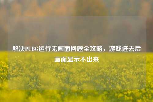 解决PUBG运行无画面问题全攻略，游戏进去后画面显示不出来