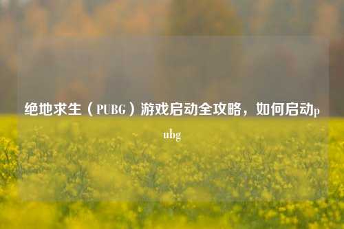 绝地求生（PUBG）游戏启动全攻略，如何启动pubg