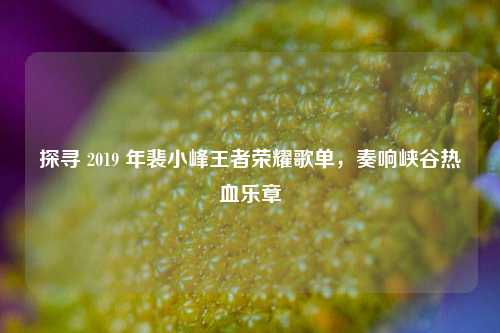 探寻 2019 年裴小峰王者荣耀歌单,奏响峡谷热血乐章