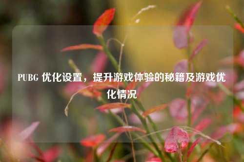 PUBG 优化设置,提升游戏体验的秘籍及游戏优化情况