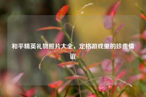 和平精英礼物照片大全,定格游戏里的珍贵情谊