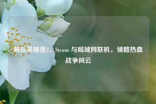 畅玩英雄连2,Steam 与局域网联机,领略热血战争风云