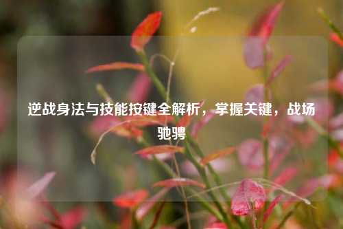 逆战身法与技能按键全解析,掌握关键,战场驰骋