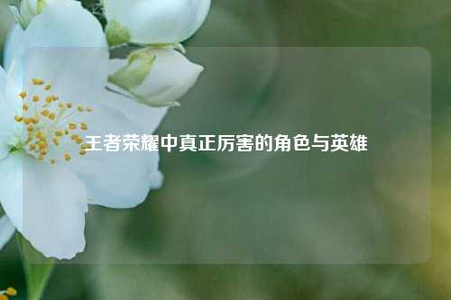 王者荣耀中真正厉害的角色与英雄