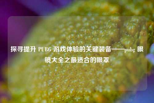 探寻提升 PUBG 游戏体验的关键装备——pubg 眼镜大全之最适合的眼罩