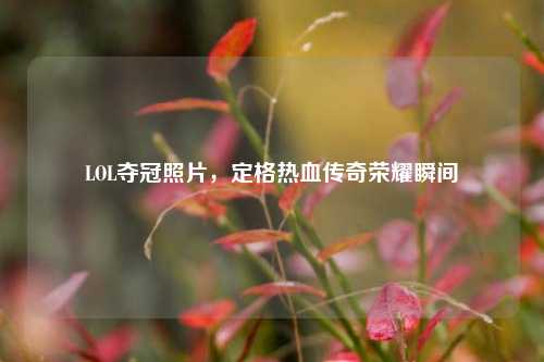 LOL夺冠照片，定格热血传奇荣耀瞬间