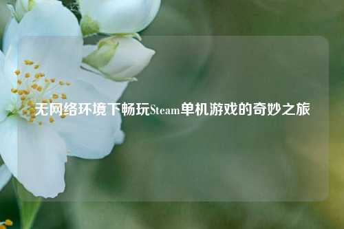无 *** 环境下畅玩Steam单机游戏的奇妙之旅