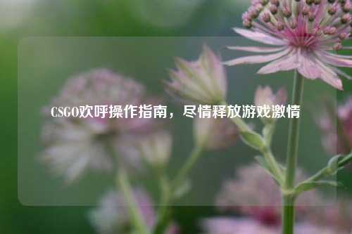 CSGO欢呼操作指南,尽情释放游戏***