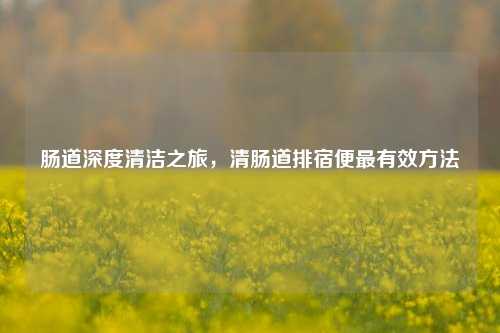 肠道深度清洁之旅,清肠道排宿便最有效 ***