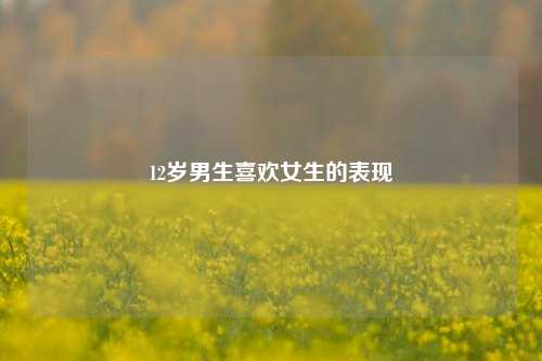 12岁男生喜欢女生的表现