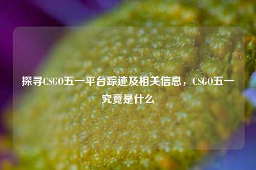 探寻CSGO五一平台踪迹及相关信息,CSGO五一究竟是什么