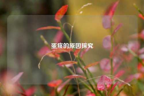 蛋疼的原因探究