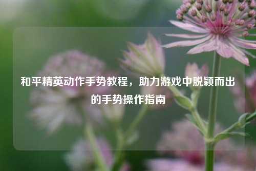 和平精英动作手势教程,助力游戏中脱颖而出的手势操作指南