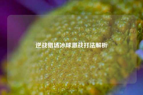 逆战猎场冰球激战打法解析