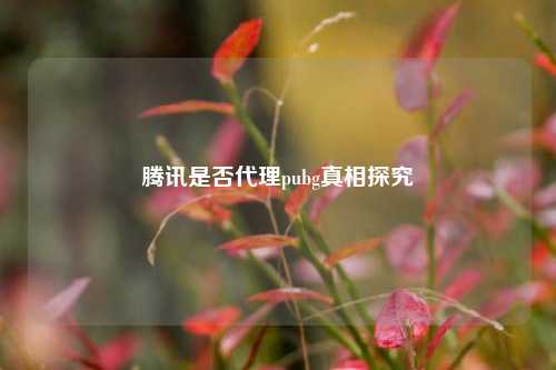 腾讯是否 *** pubg真相探究