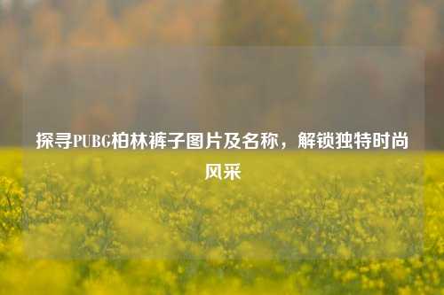探寻PUBG柏林裤子图片及名称,解锁独特时尚风采