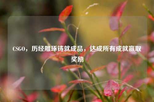 CSGO,历经雕琢铸就成品,达成所有成就赢取奖励