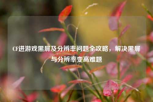 CF进游戏黑屏及分辨率问题全攻略,解决黑屏与分辨率变高难题
