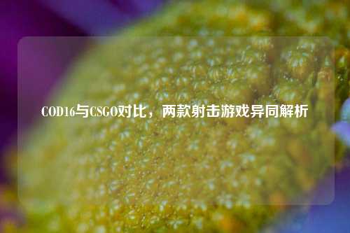 COD16与CSGO对比,两款射击游戏异同解析